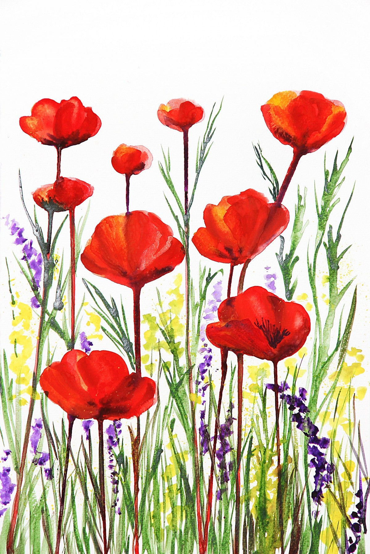 Red hot Poppies II Giclee Print