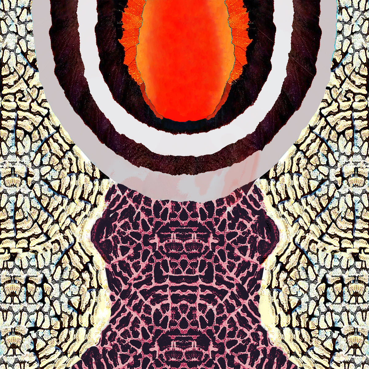 Desert Sun upon the Sand Dunes