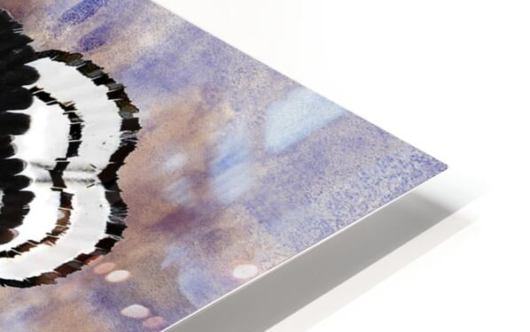 HD Sublimation Metal Print