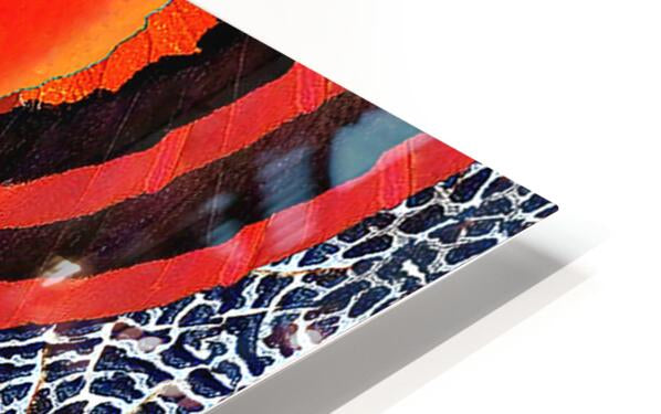 1946127 :: HD Sublimation Metal Print